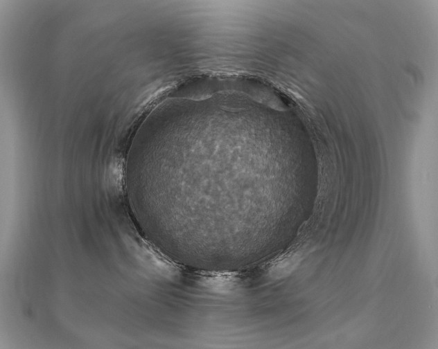 X0000112030288200908101345