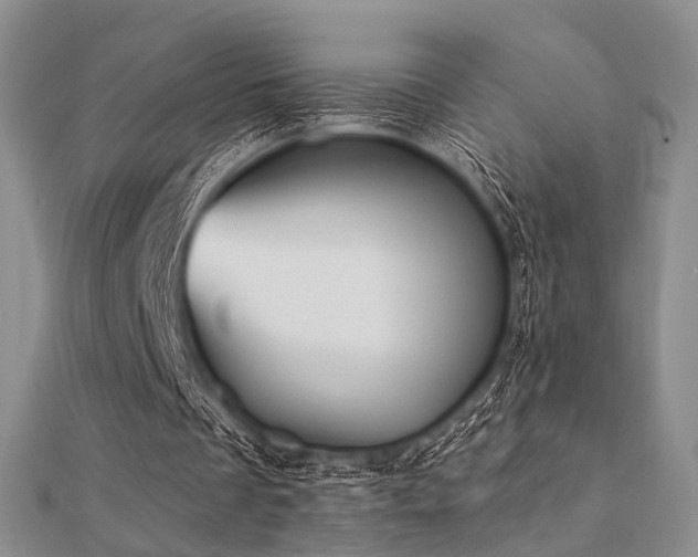 X0000112030289200908101345