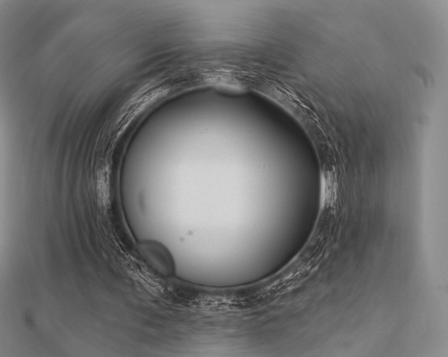 X0000112030291200908101345