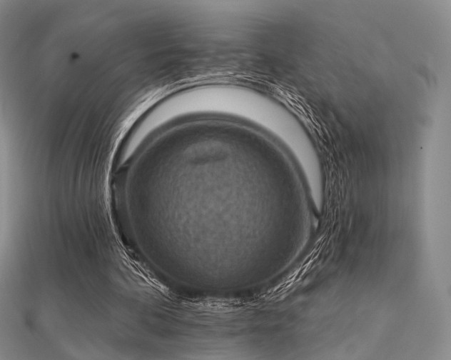 X0000112030292200908101345