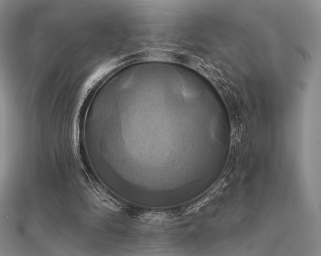 X0000112030294200908101345
