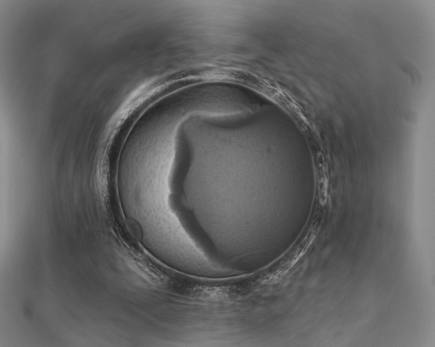 X0000112030295200908101345
