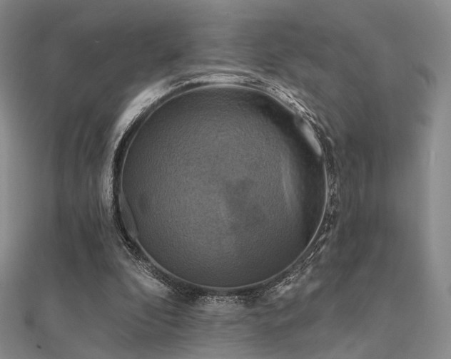 X0000112030296200908101345