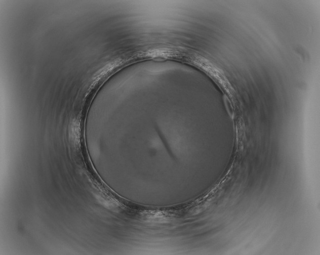 X0000112030297200908101345