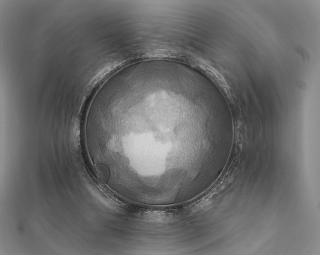 X0000112030298200908101345