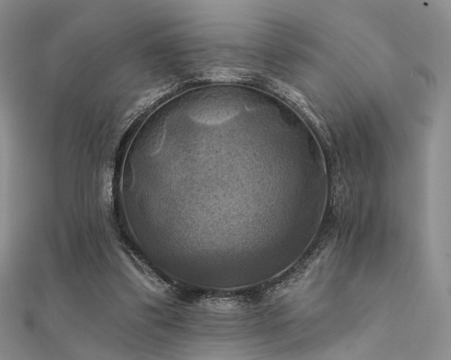 X0000112030299200908101345