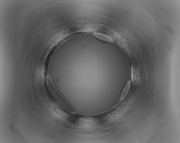 X0000112030300200908101345
