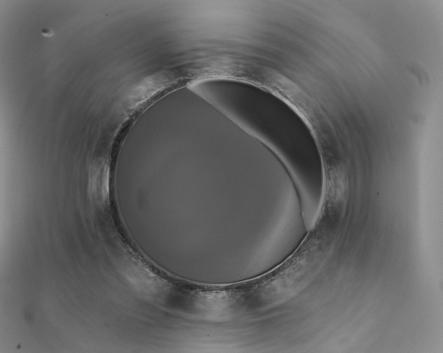 X0000112030301200908101345