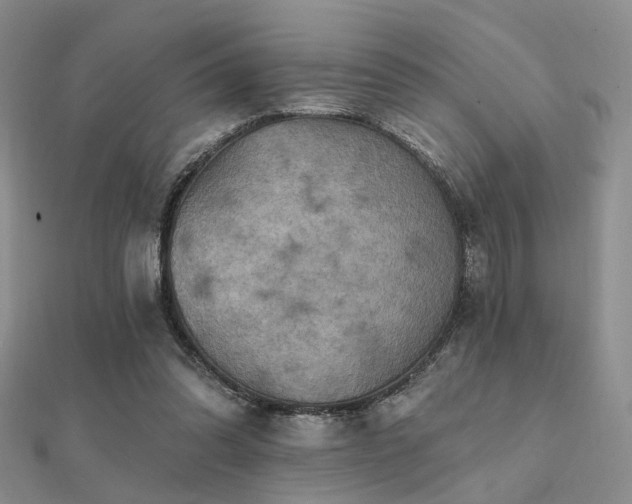 X0000112030302200908101345