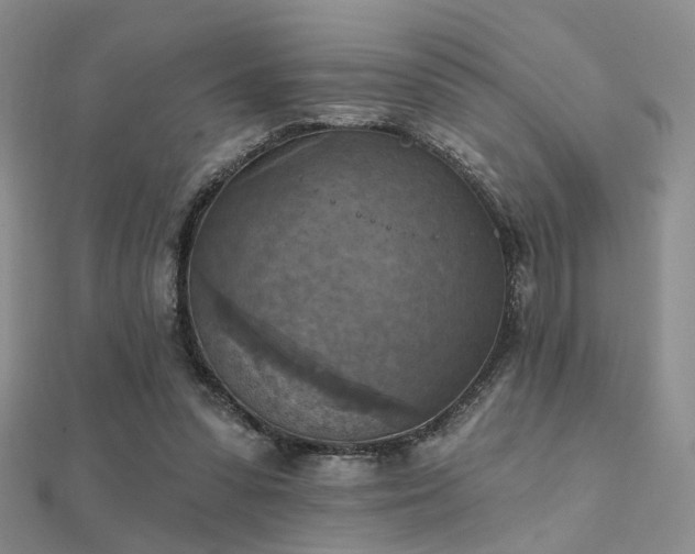 X0000112030303200908101345