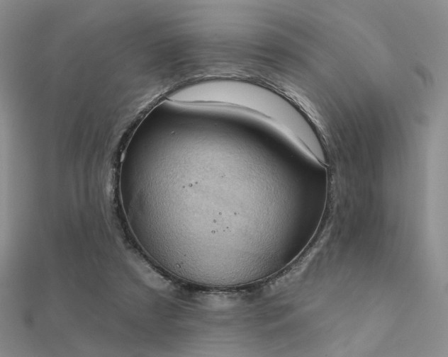 X0000112030305200908101345