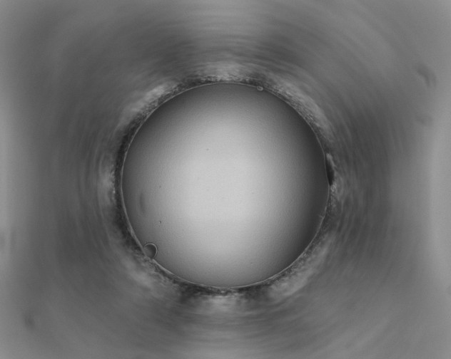 X0000112030306200908101345