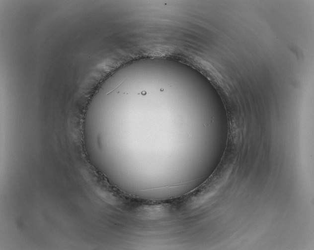 X0000112030307200908101345