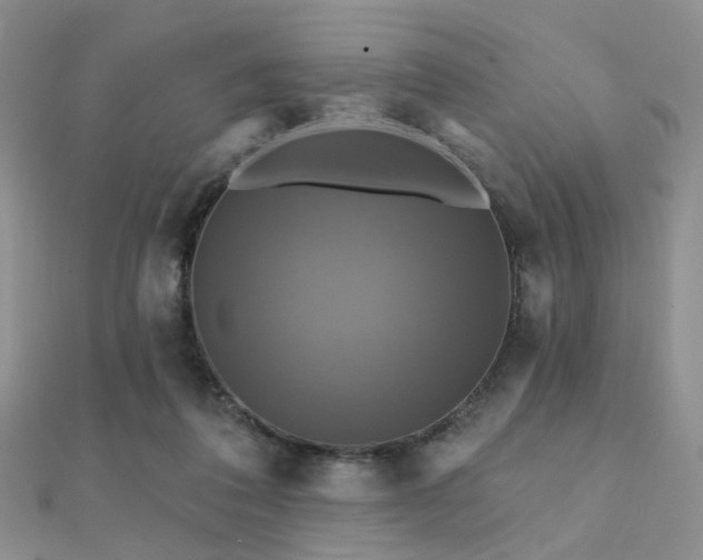 X0000112030308200908101344