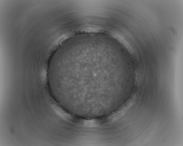 X0000112030309200908101344