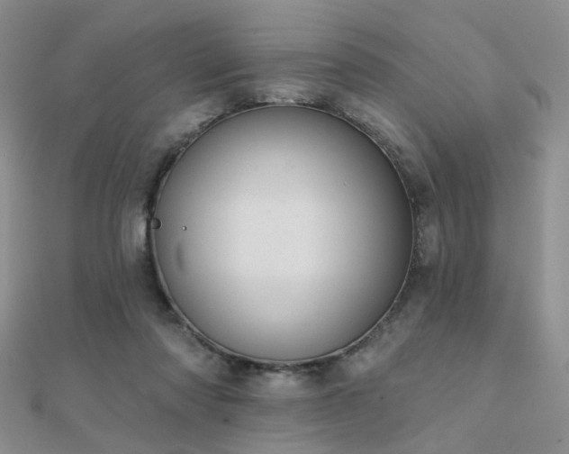 X0000112030310200908101344