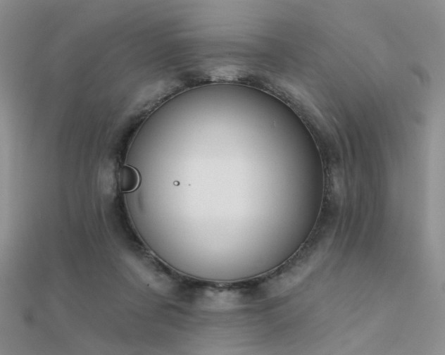 X0000112030311200908101344