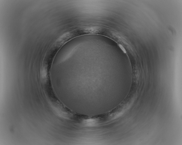 X0000112030312200908101344