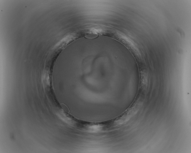 X0000112030313200908101344