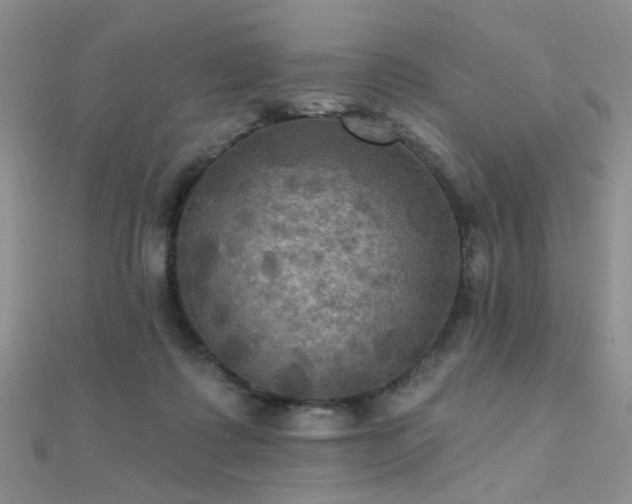 X0000112030315200908101344