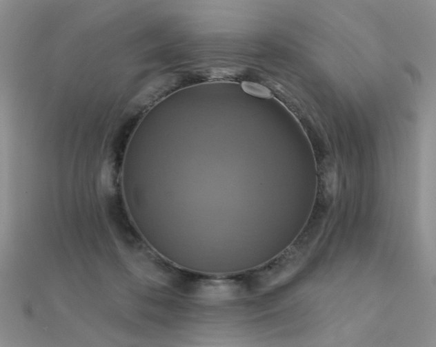X0000112030316200908101344