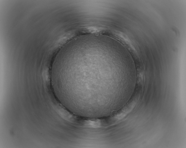 X0000112030317200908101344