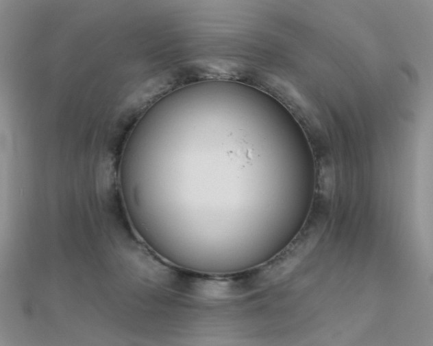 X0000112030318200908101344