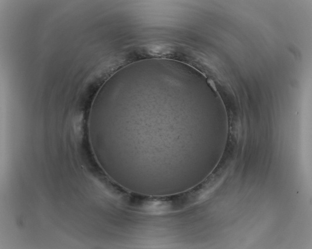 X0000112030319200908101344