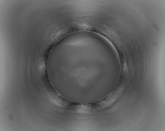 X0000112030320200908101344