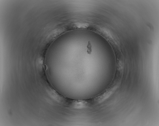 X0000112030321200908101344