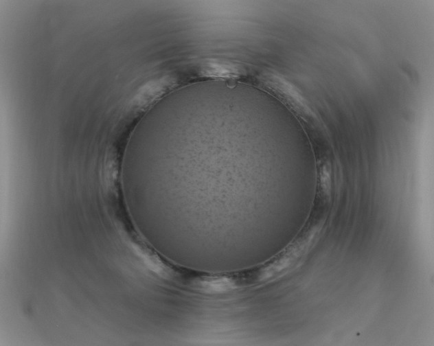 X0000112030322200908101344