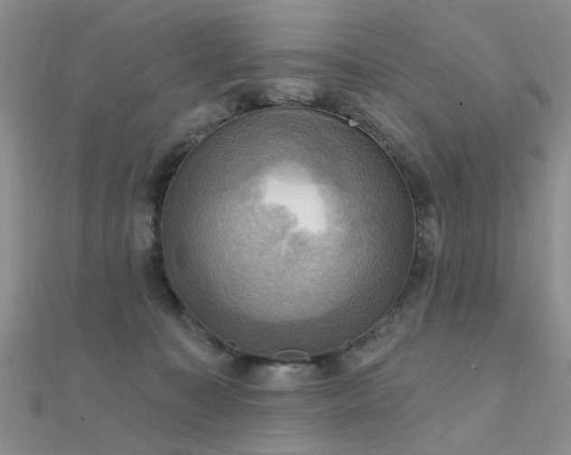 X0000112030323200908101344
