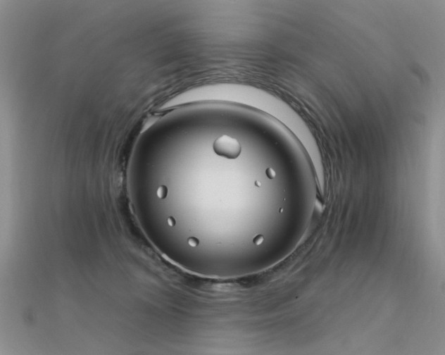 X0000112030324200908101344