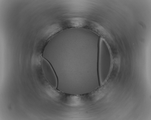 X0000112030325200908101344