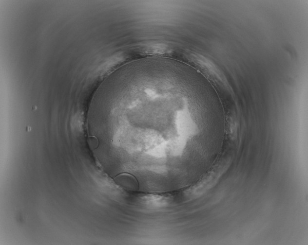 X0000112030326200908101344