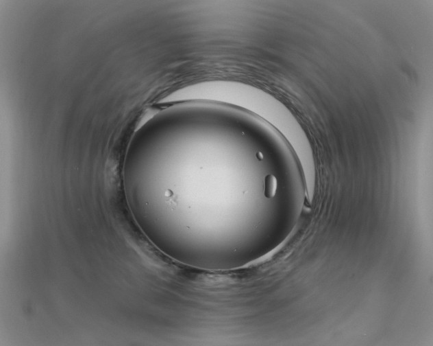 X0000112030327200908101344