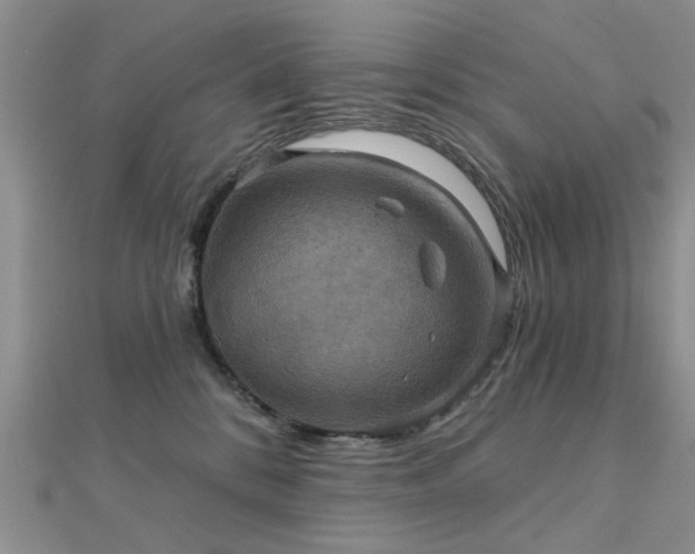 X0000112030328200908101344