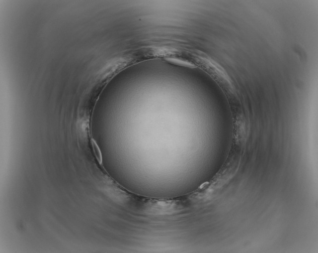 X0000112030329200908101344