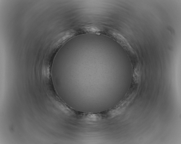 X0000112030330200908101344
