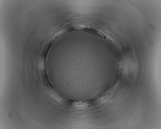 X0000112030331200908101344