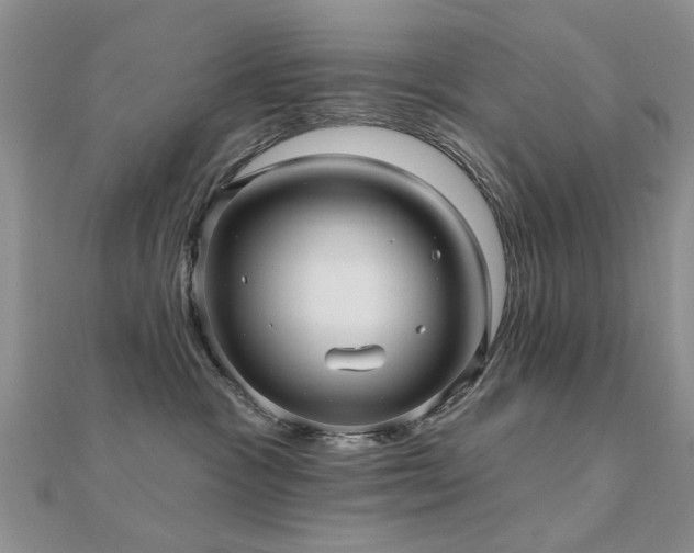 X0000112030333200908101344