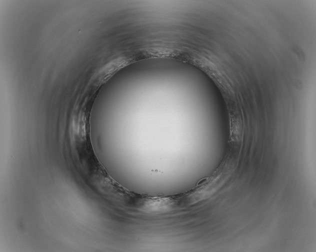 X0000112030334200908101344