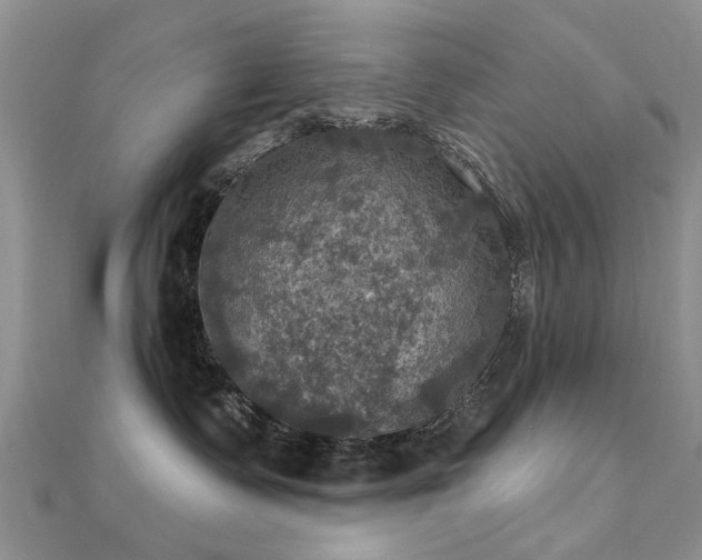 X0000112030335200908101344