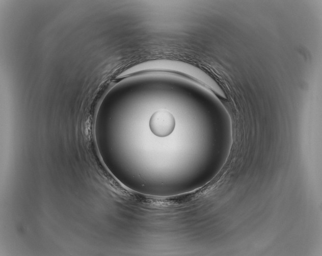X0000112030336200908101344