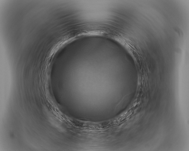 X0000112030337200908101344