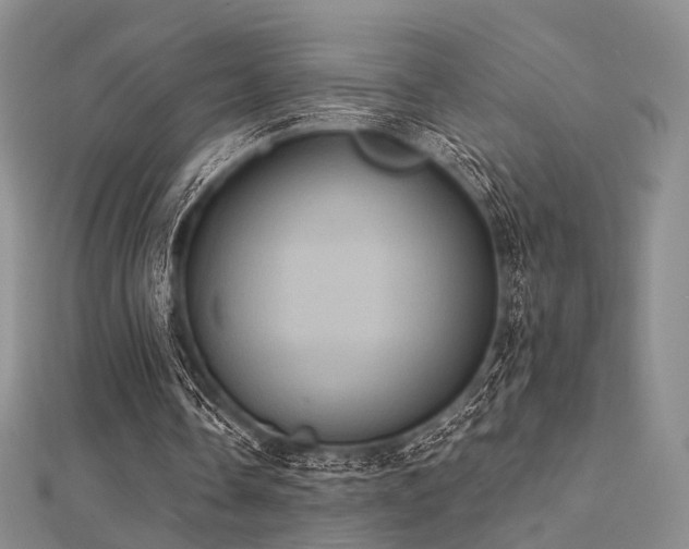 X0000112030338200908101344