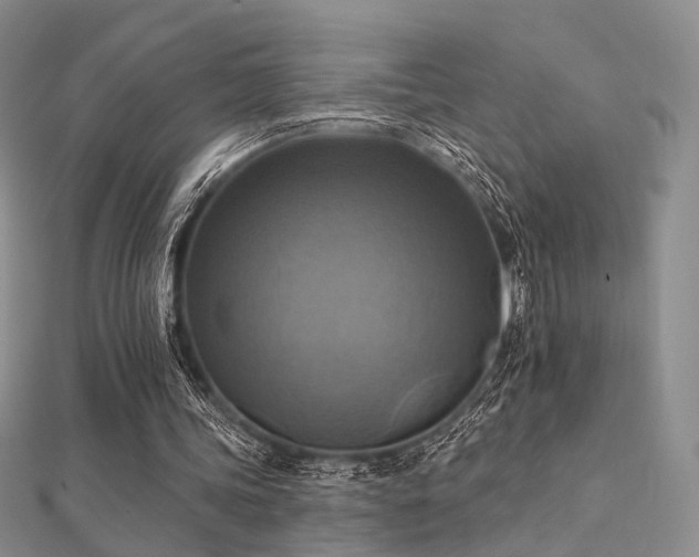 X0000112030339200908101344