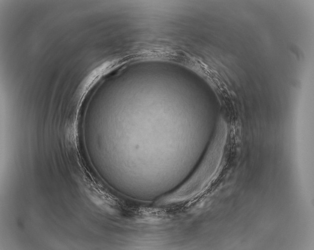 X0000112030340200908101344