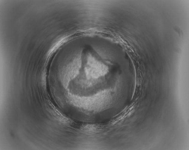 X0000112030341200908101344