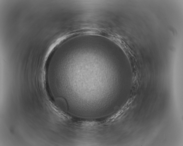 X0000112030342200908101344